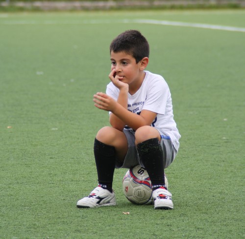 IMG_4939 Copia